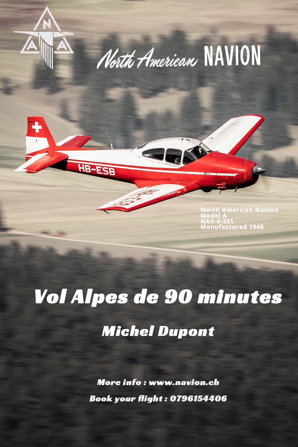 Bon cadeau Navion pour un vol de 90 minutes dans les Alpes